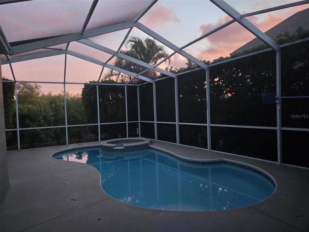 Glass Ceilings, Interior, Pool, Sun Room