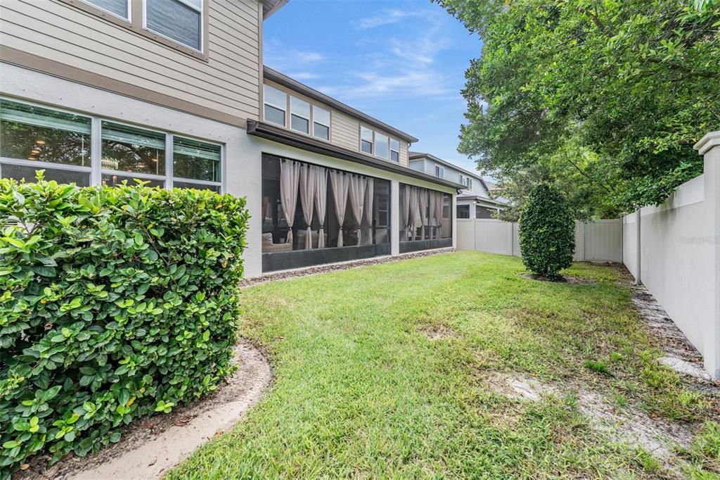 Backyard, Exterior