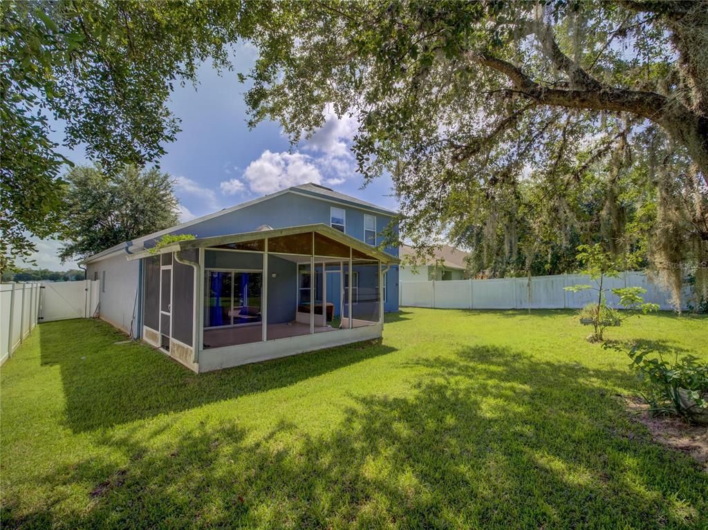 Backyard, Exterior