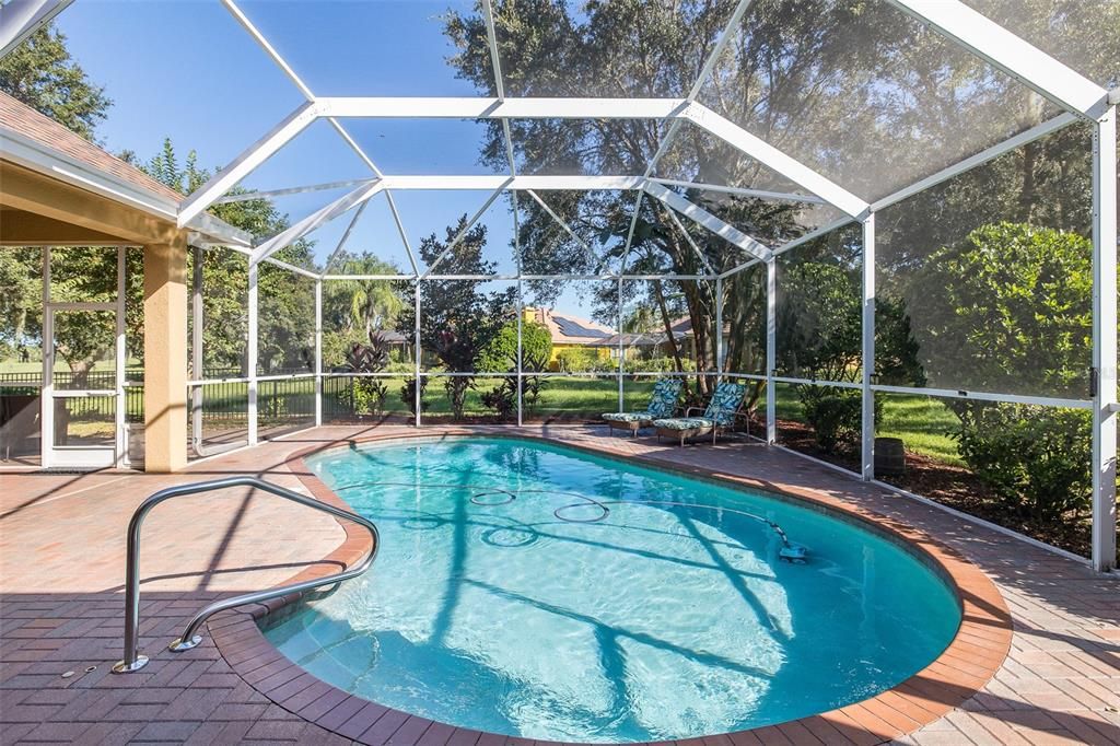 Glass Ceilings, Interior, Pool, Sun Room