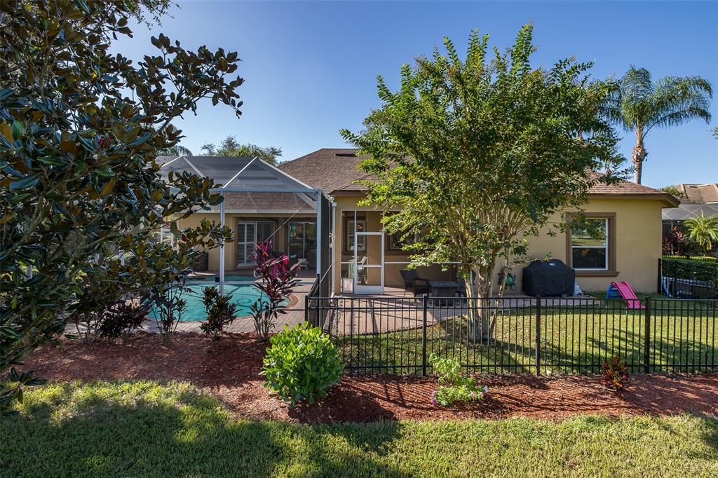 Backyard, Exterior, Pool