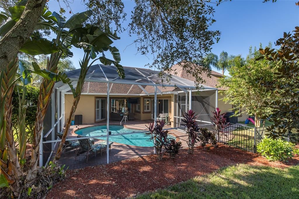 Backyard, Exterior, Pool