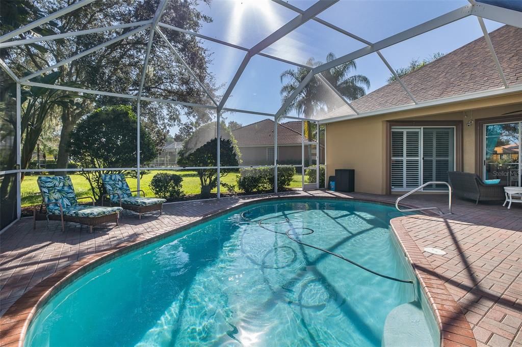 Glass Ceilings, Interior, Pool, Sun Room