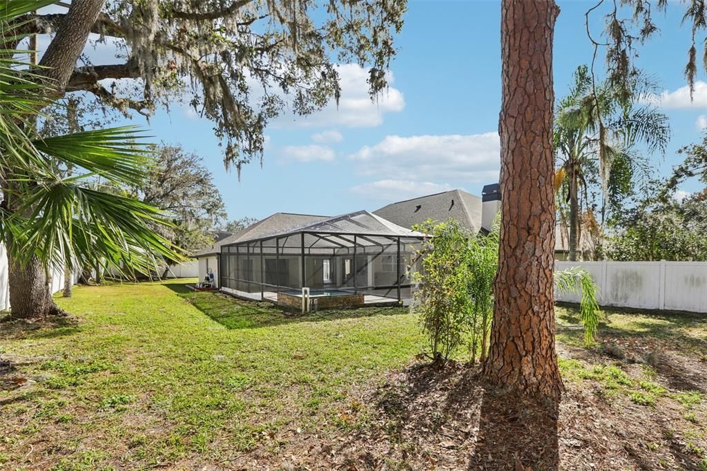 Backyard, Exterior