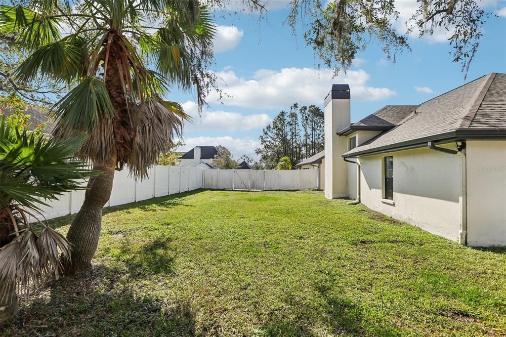 Backyard, Exterior