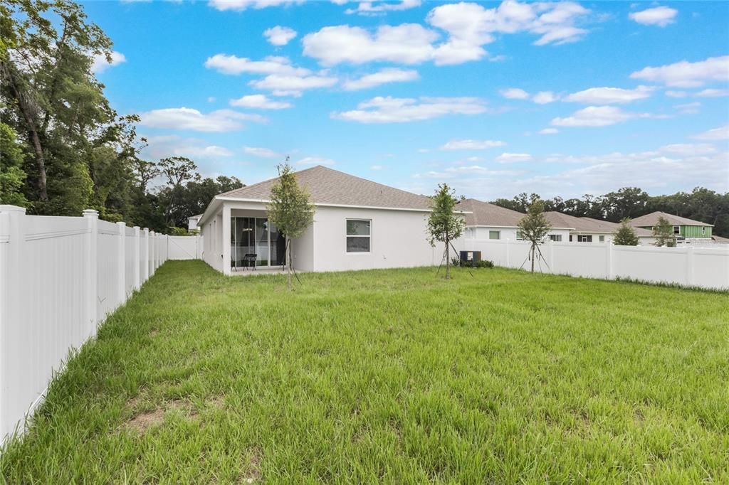 Backyard, Exterior