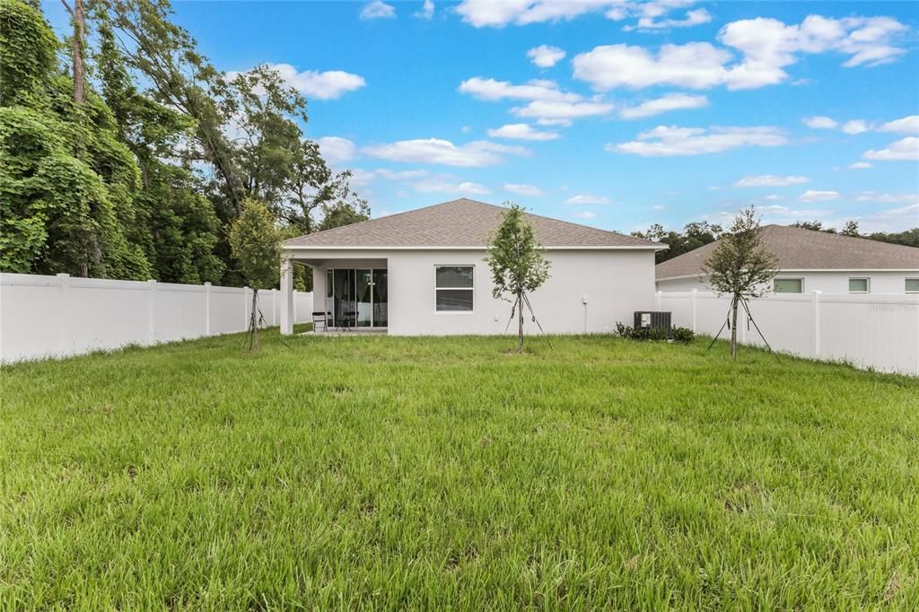 Backyard, Exterior
