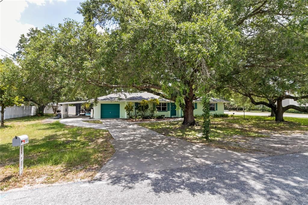 Backyard, Exterior
