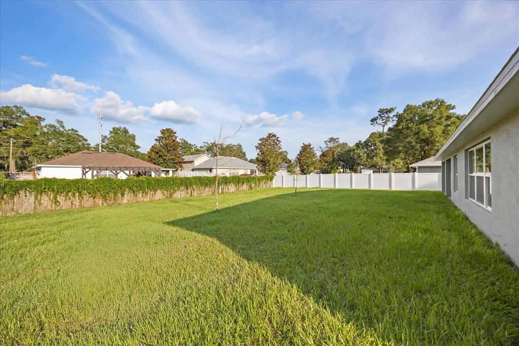 Backyard, Exterior