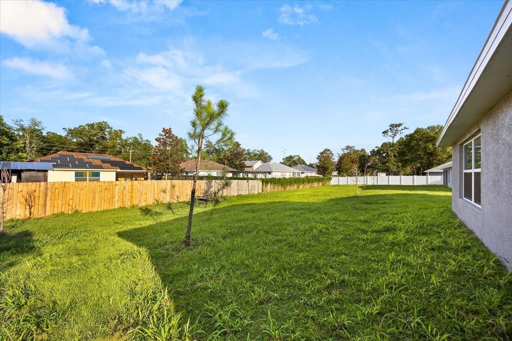 Backyard, Exterior