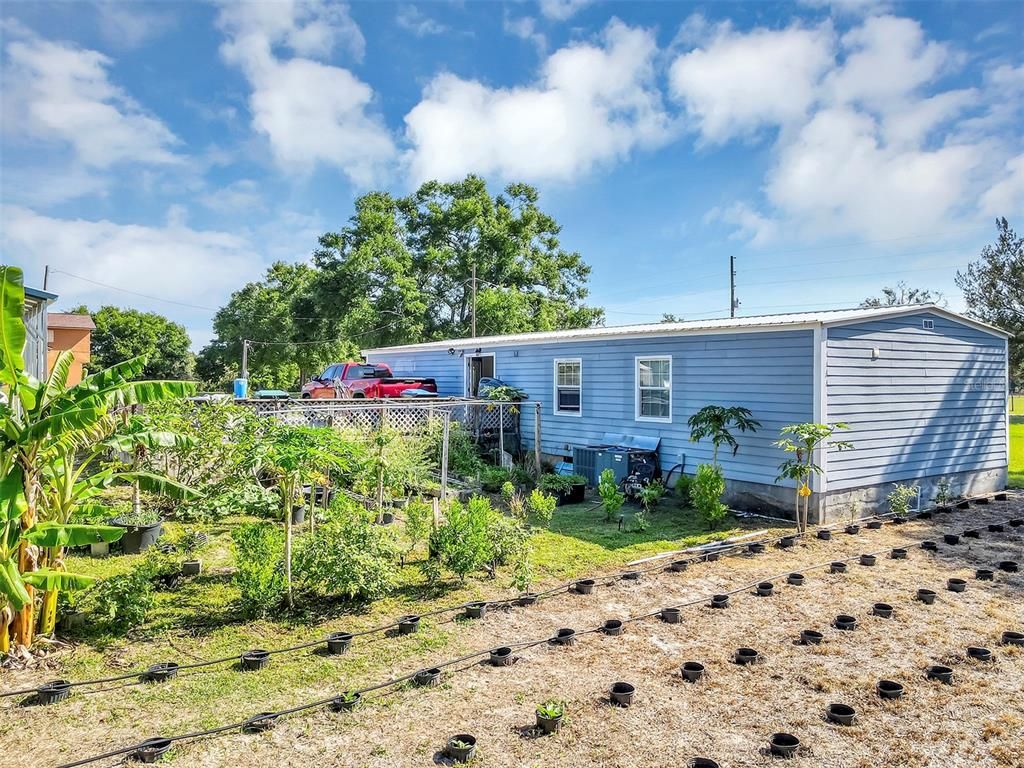 Backyard, Exterior