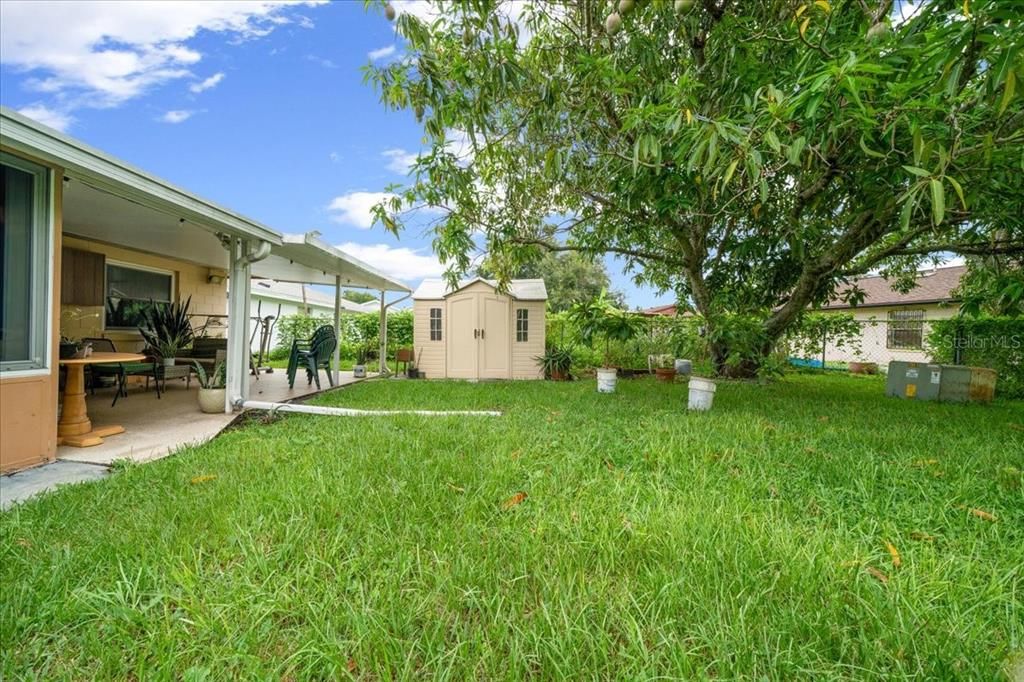 Backyard, Exterior