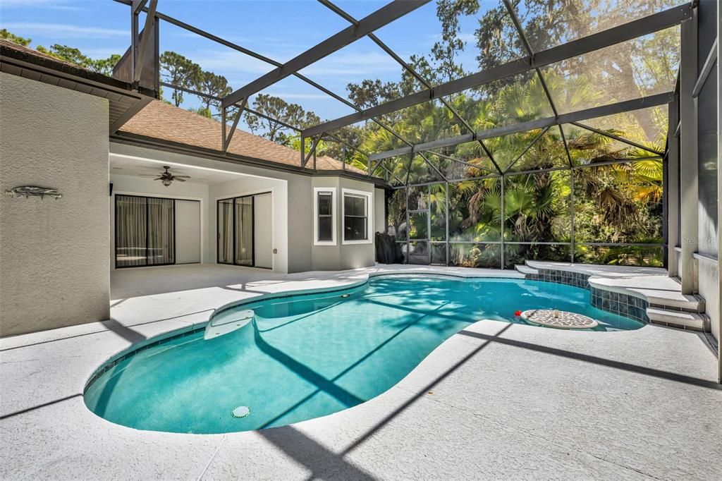 Glass Ceilings, Interior, Pool, Sun Room