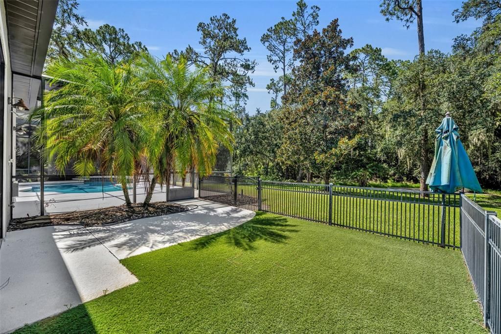 Backyard, Exterior, Pool