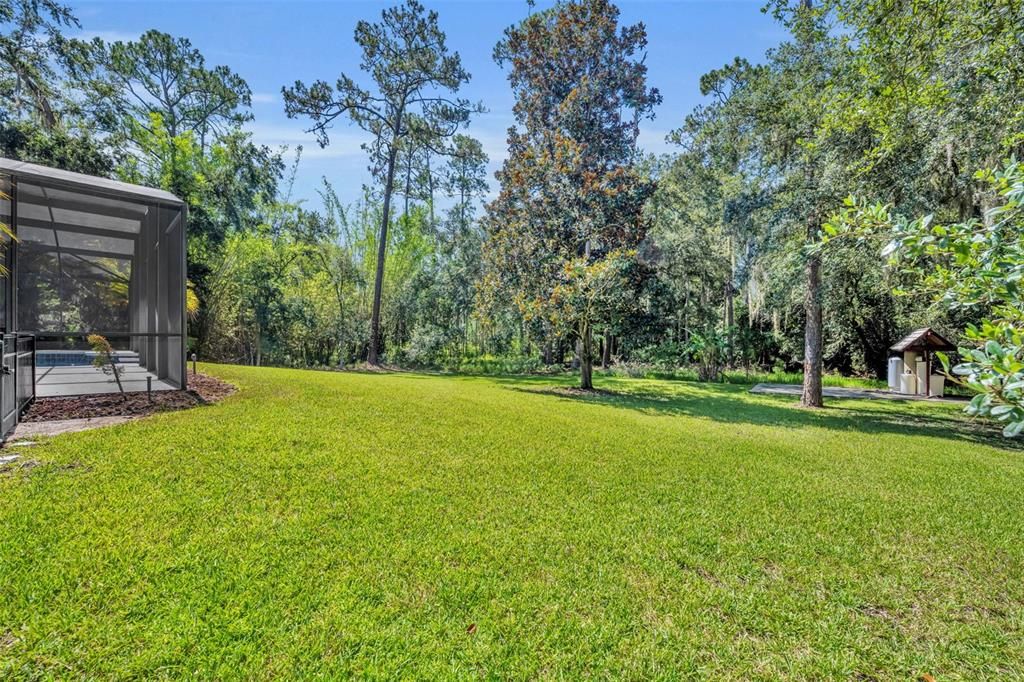 Backyard, Exterior