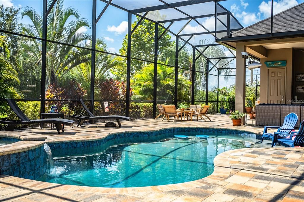 Glass Ceilings, Interior, Pool, Sun Room