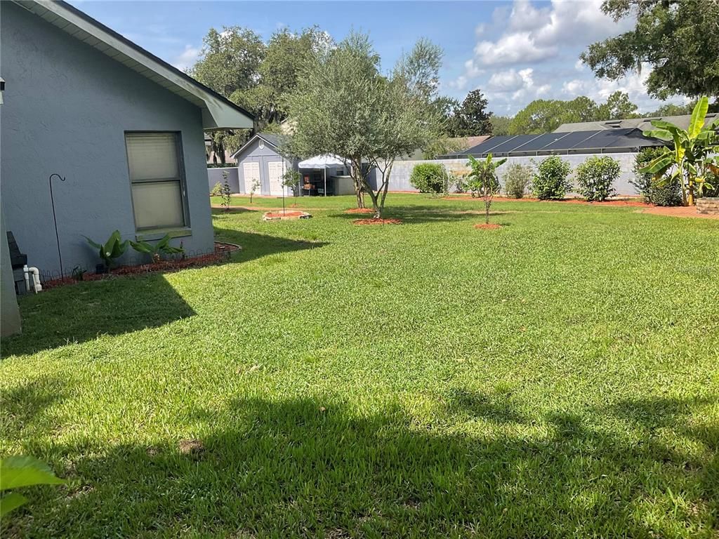 Backyard, Exterior