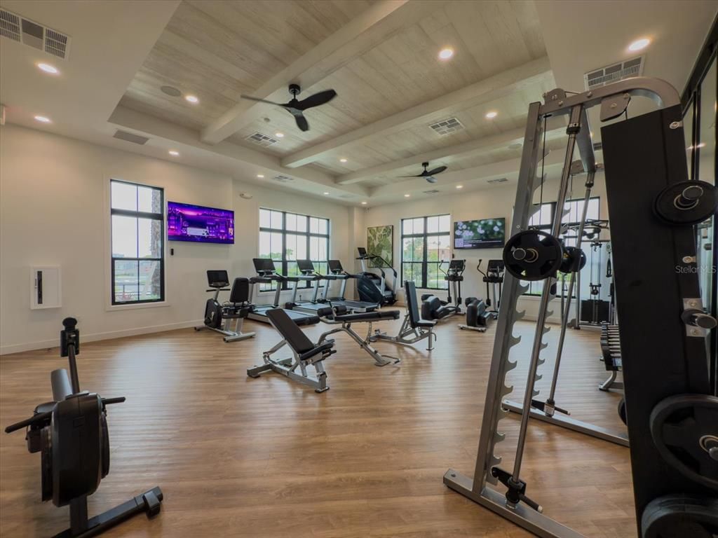 Fitness Equipment, Gym, Interior, Recessed Lighting, Wood Texture Flooring