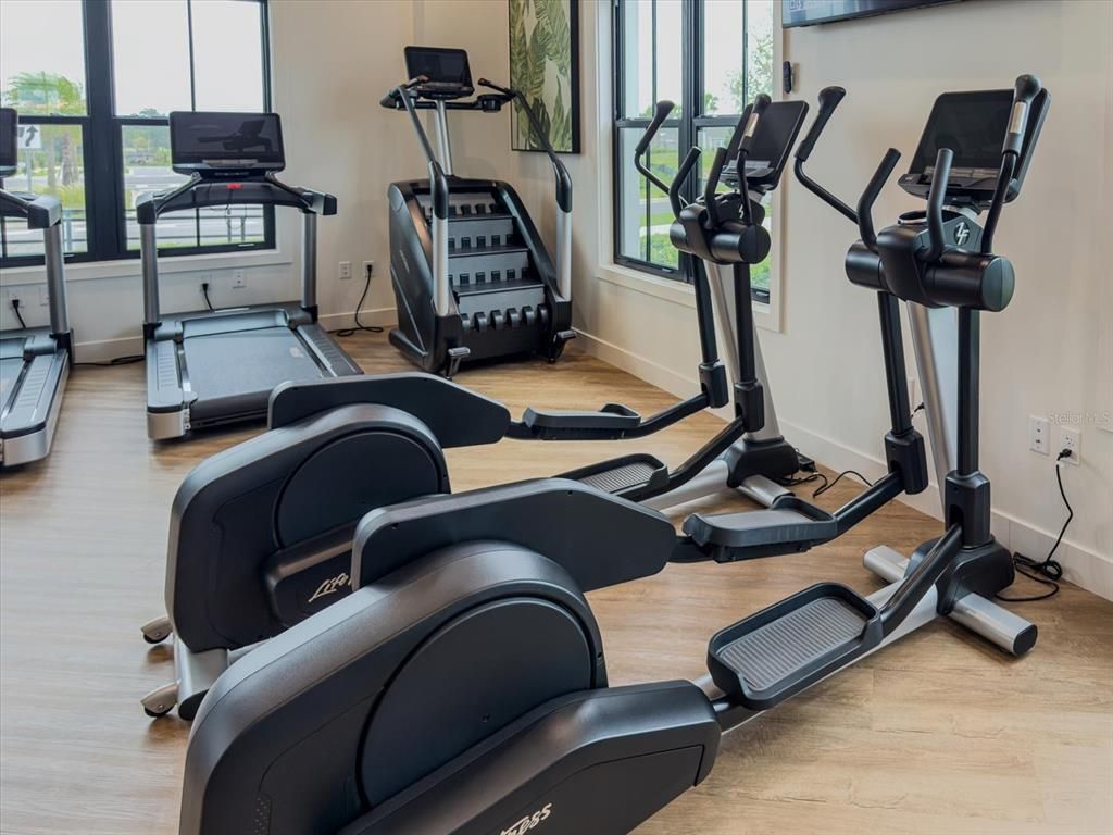 Fitness Equipment, Interior, Wood Texture Flooring