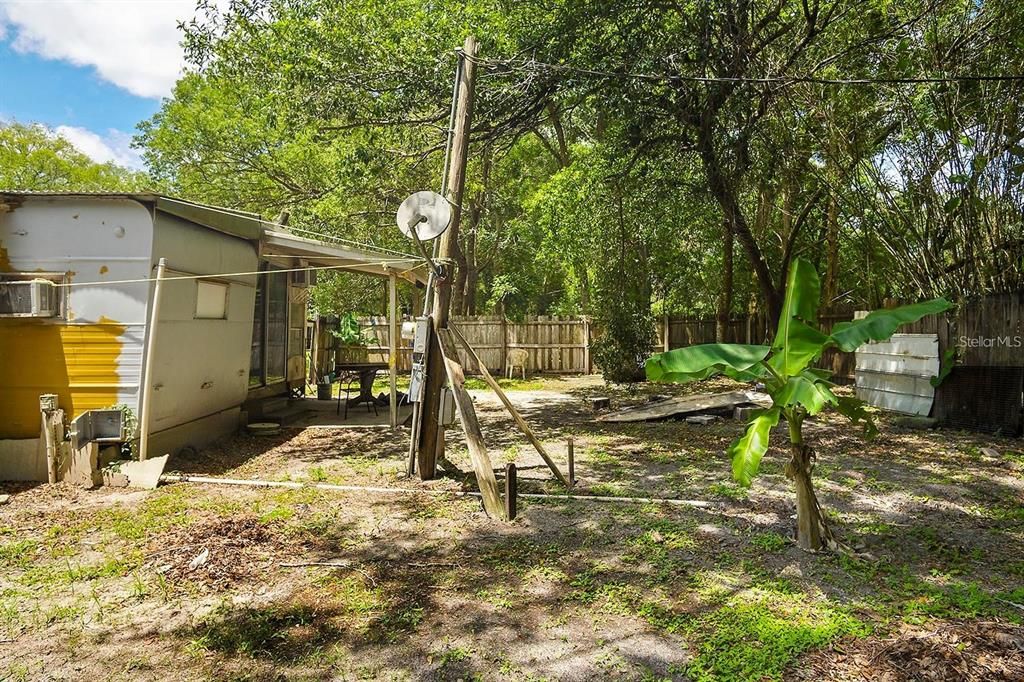 Backyard, Exterior
