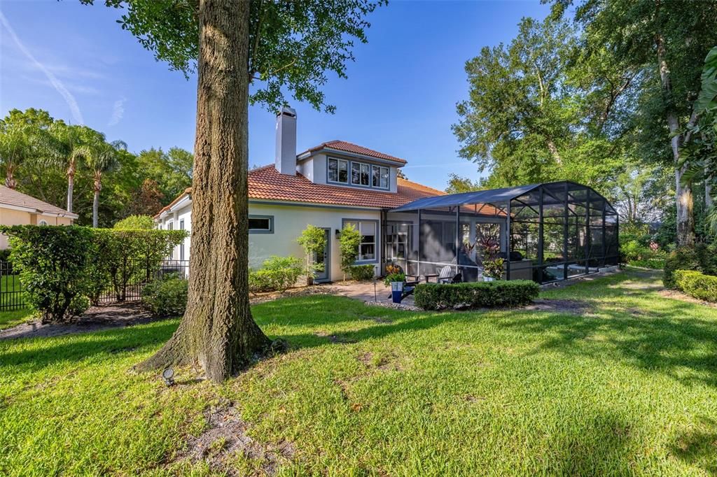 Backyard, Exterior
