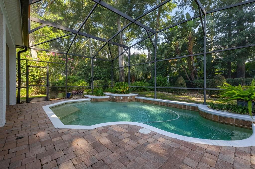 Glass Ceilings, Interior, Pool, Sun Room
