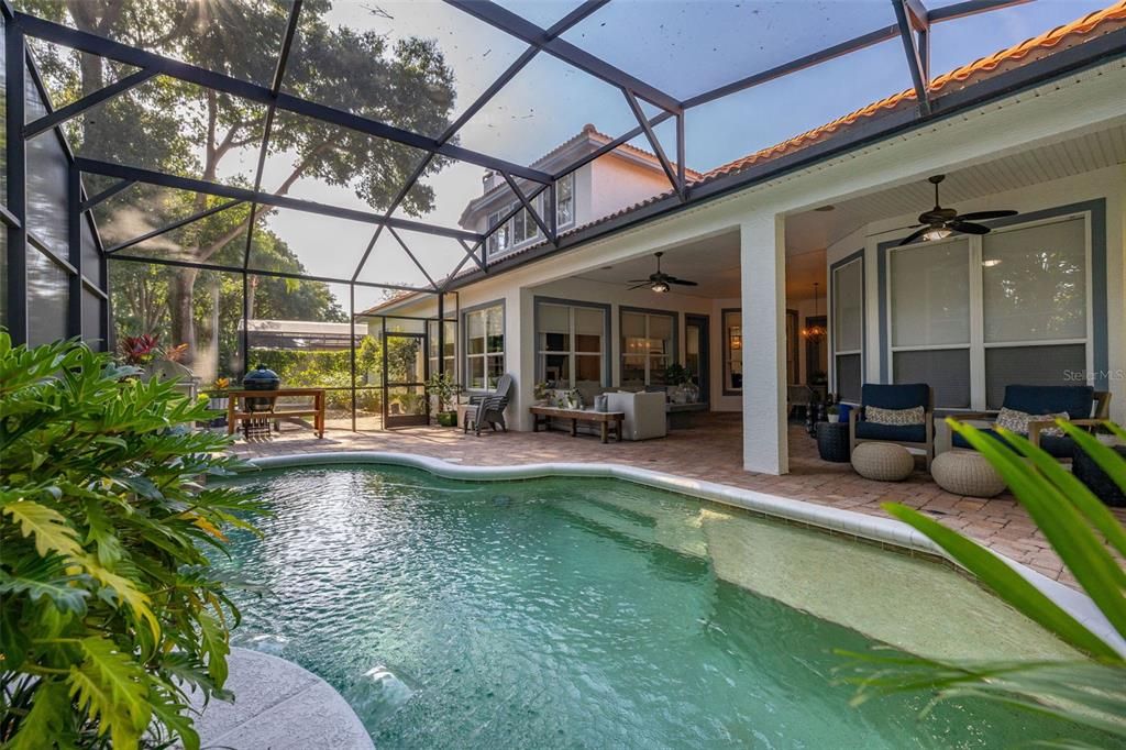 Glass Ceilings, Interior, Pool, Sun Room