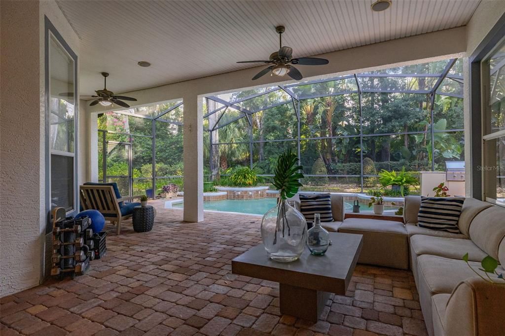 Glass Ceilings, Interior, Pool, Sun Room
