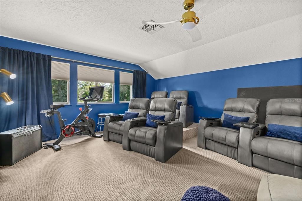 Home Theatre Room, Fitness Equipment, Interior