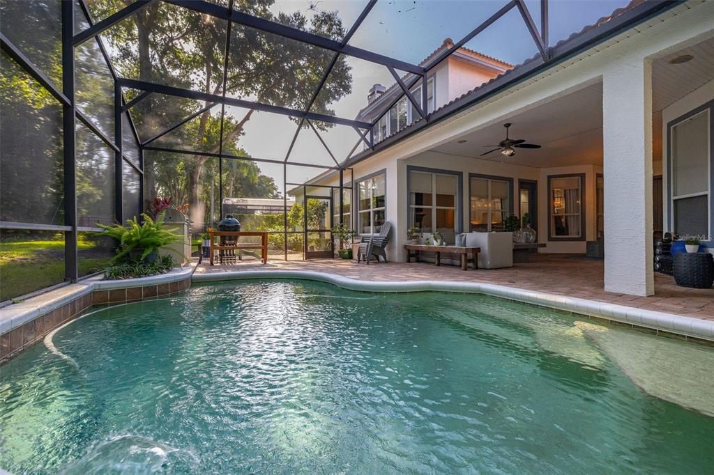 Glass Ceilings, Interior, Pool, Sun Room