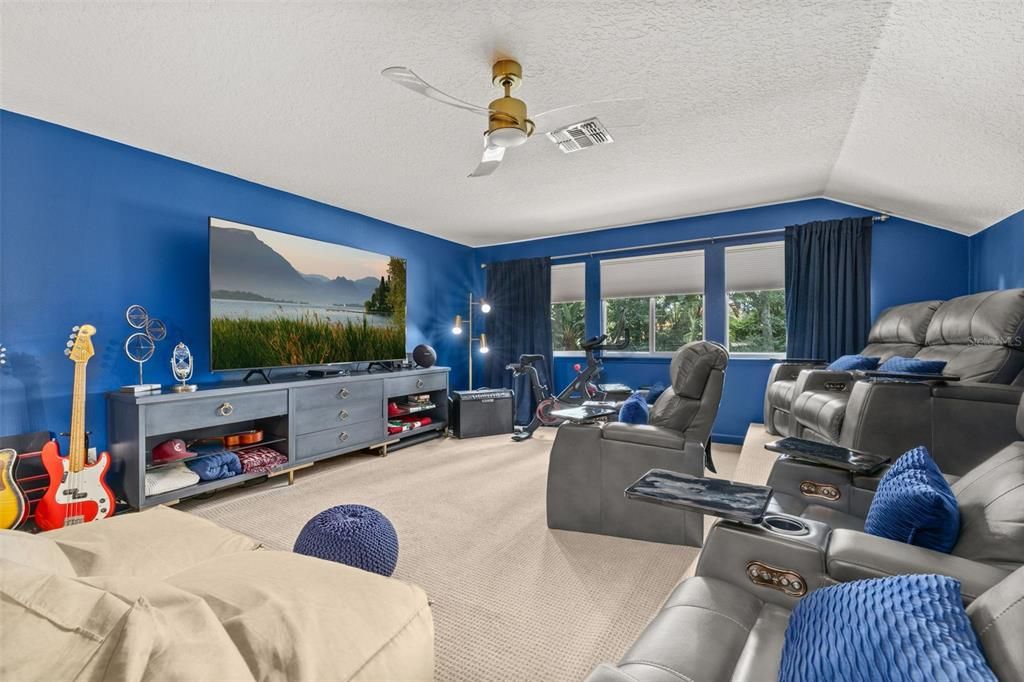 Home Theatre Room, Interior, Living room
