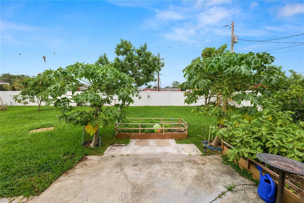 Backyard, Exterior