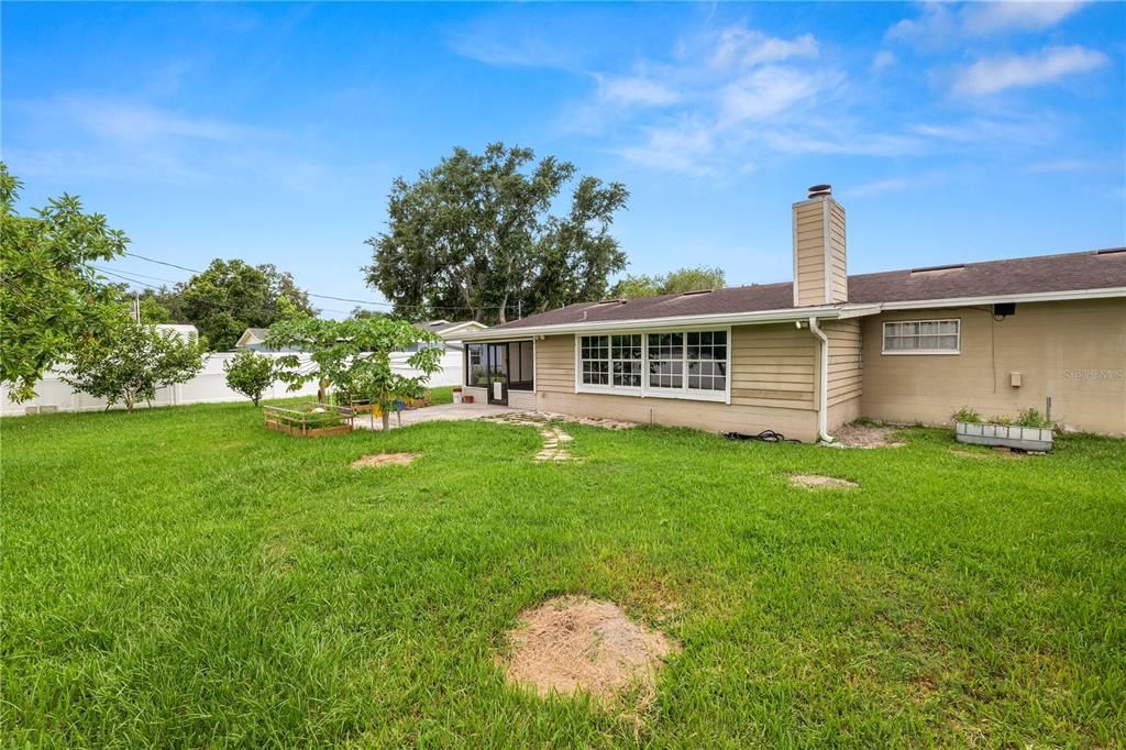 Backyard, Exterior