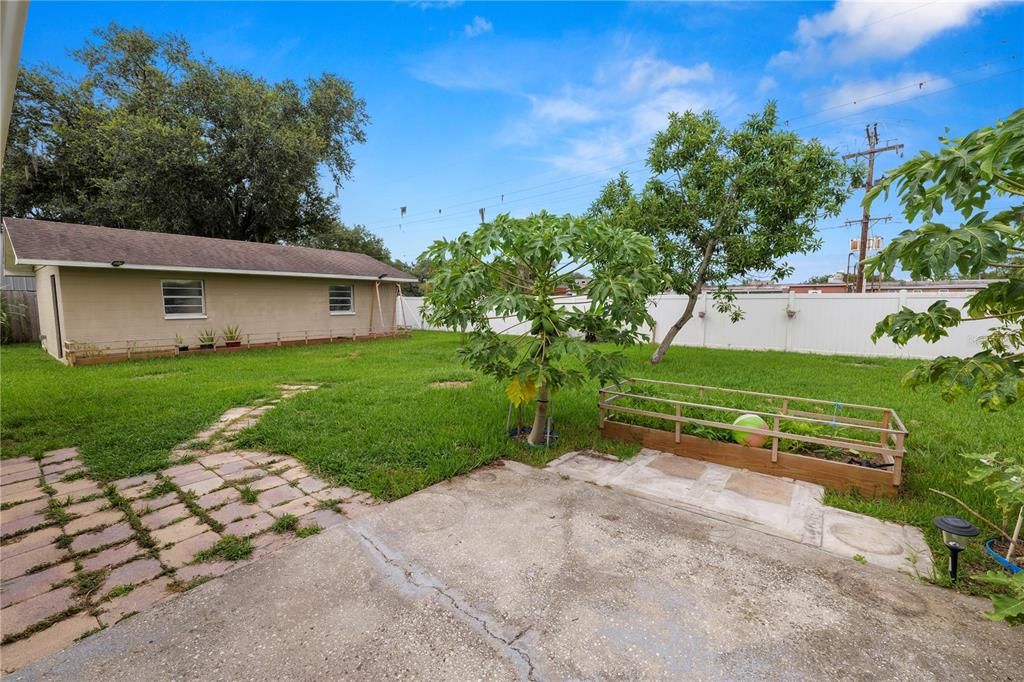 Backyard, Exterior
