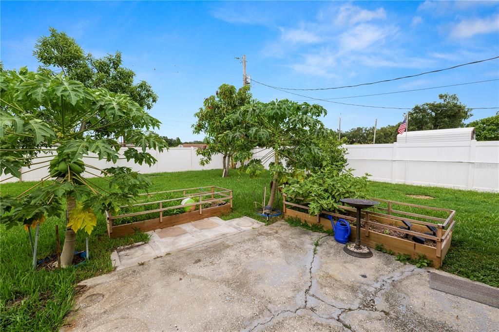 Backyard, Exterior
