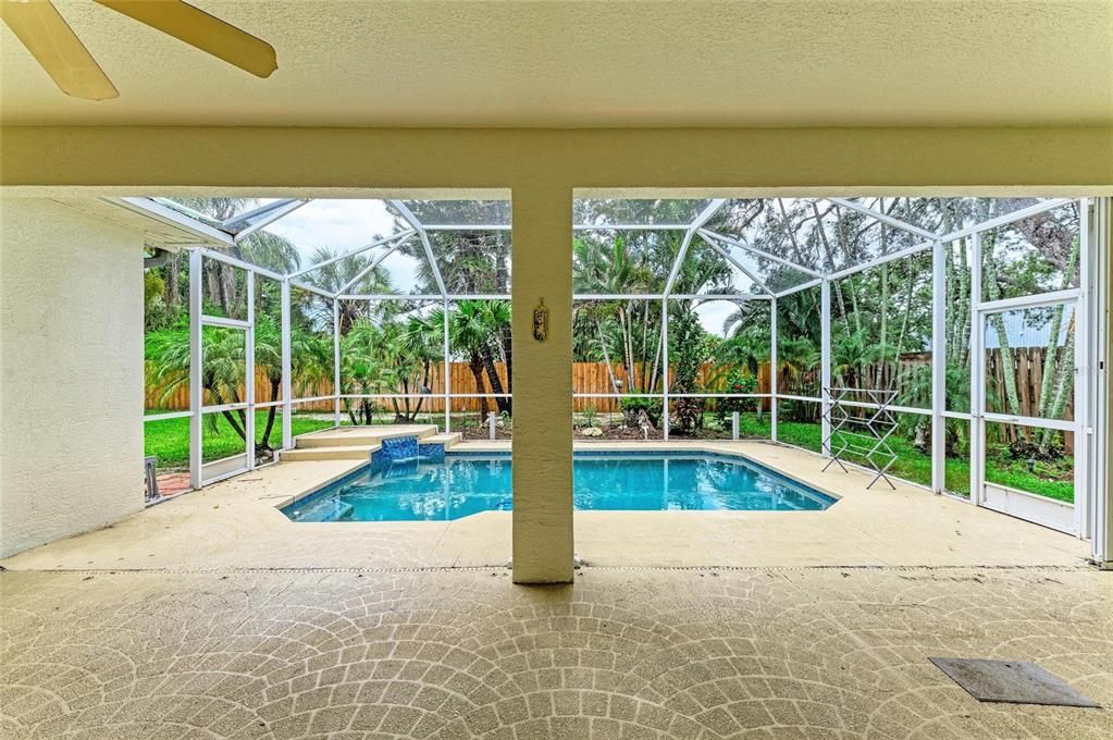 Glass Ceilings, Interior, Pool, Sun Room