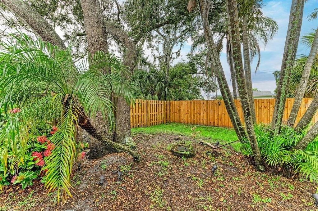 Backyard, Exterior