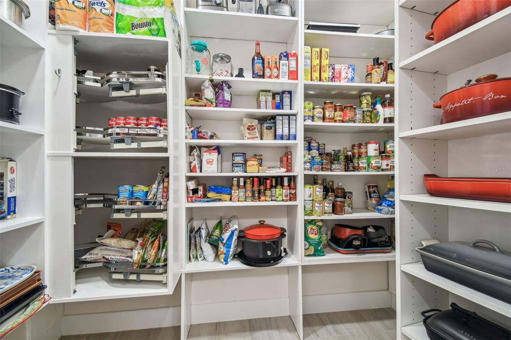 Interior, Walk-in Closets, Wood Texture Flooring