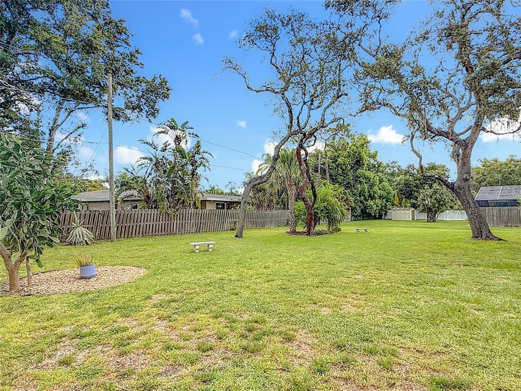 Backyard, Exterior