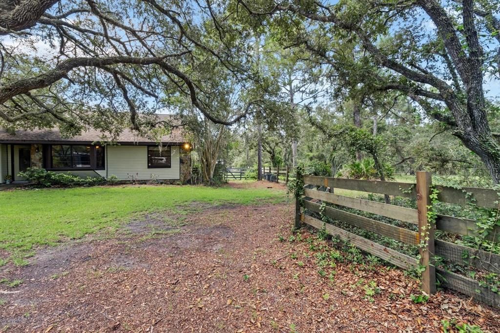 Backyard, Exterior