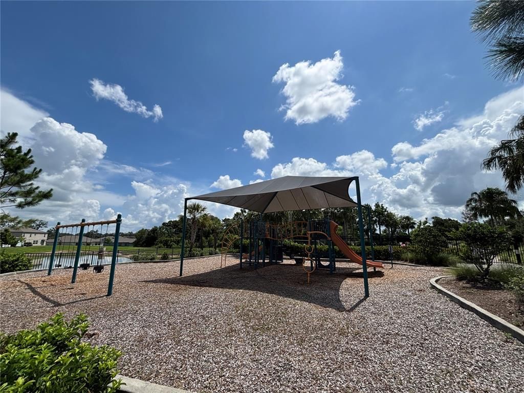 Backyard, Exterior, Playground