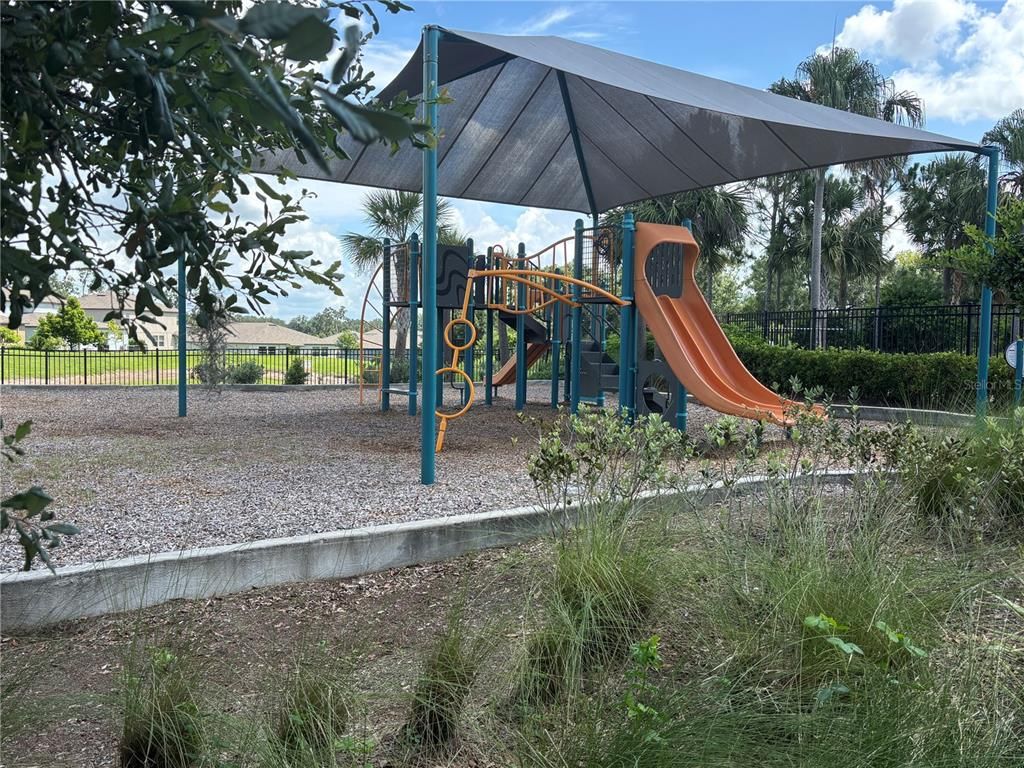 Backyard, Exterior, Playground