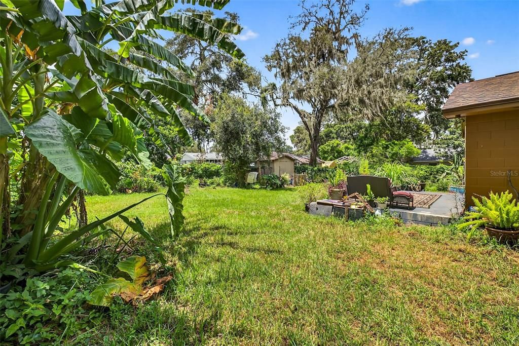 Backyard, Exterior
