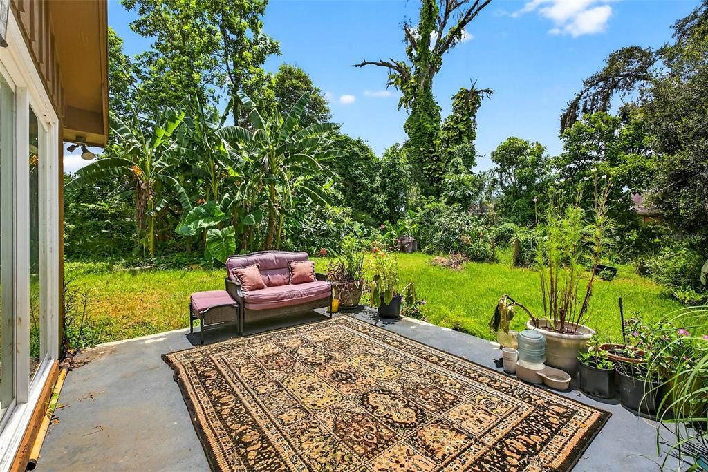 Backyard, Exterior