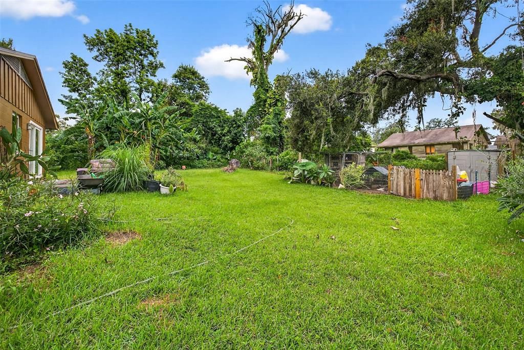 Backyard, Exterior