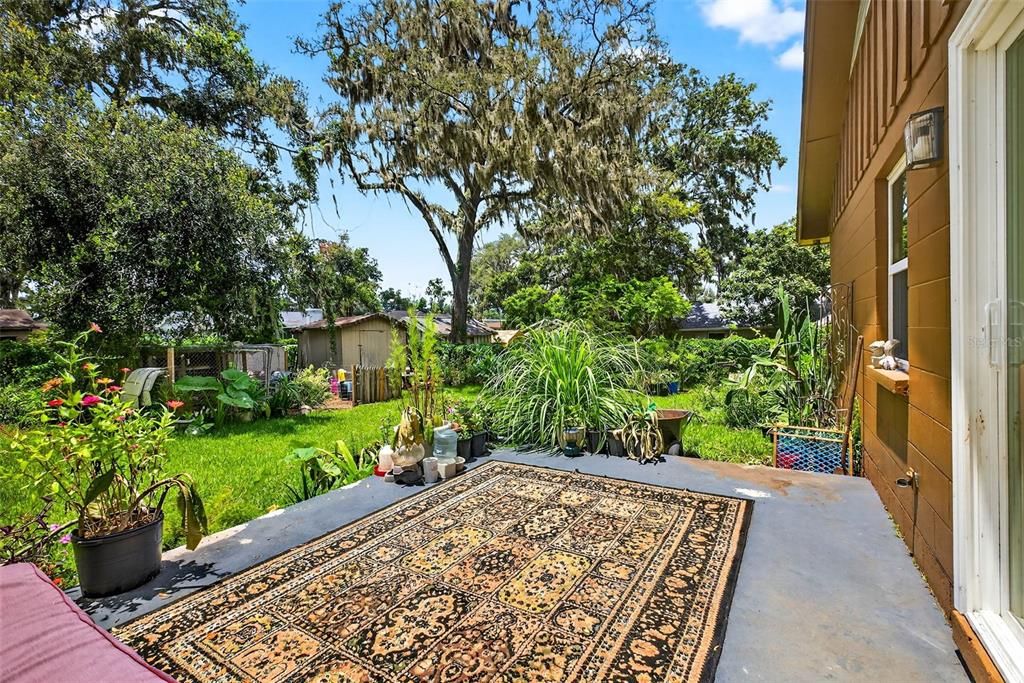 Backyard, Exterior