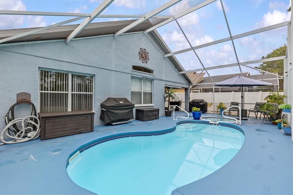 Glass Ceilings, Interior, Pool, Sun Room