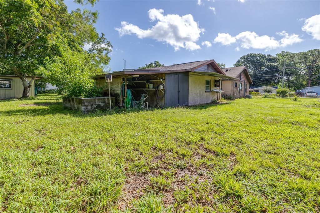 Backyard, Exterior