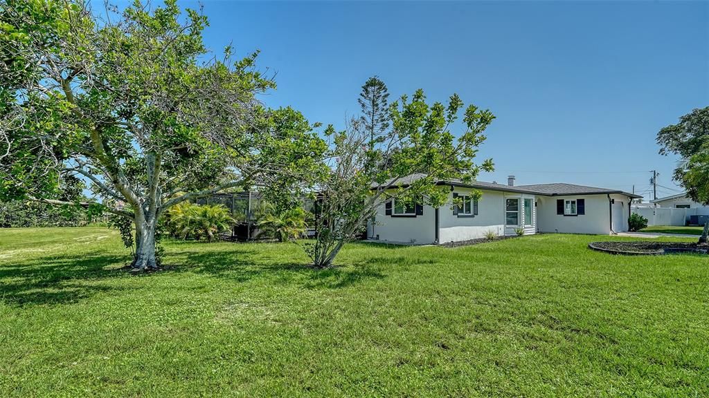 Backyard, Exterior