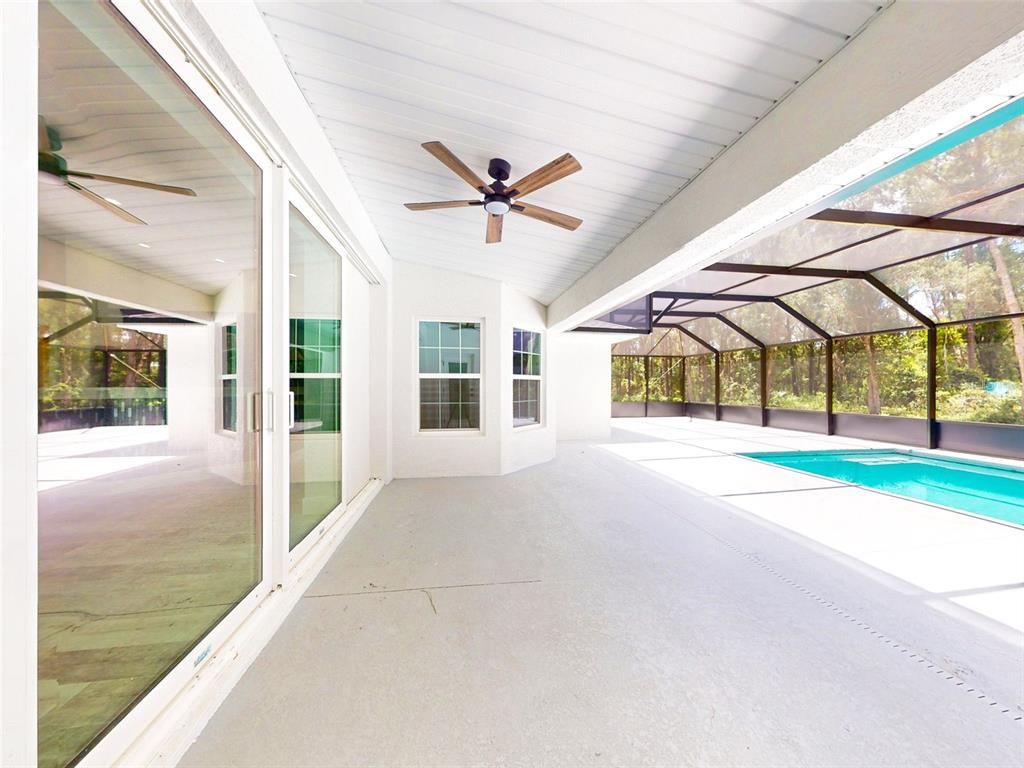 Glass Ceilings, Interior, Pool, Sun Room